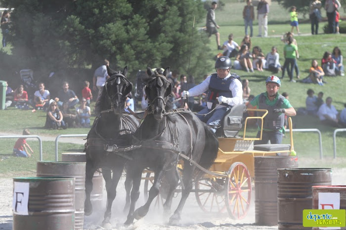 Exhibici&oacute;n de Enganches en el XXII D&iacute;a del Deporte